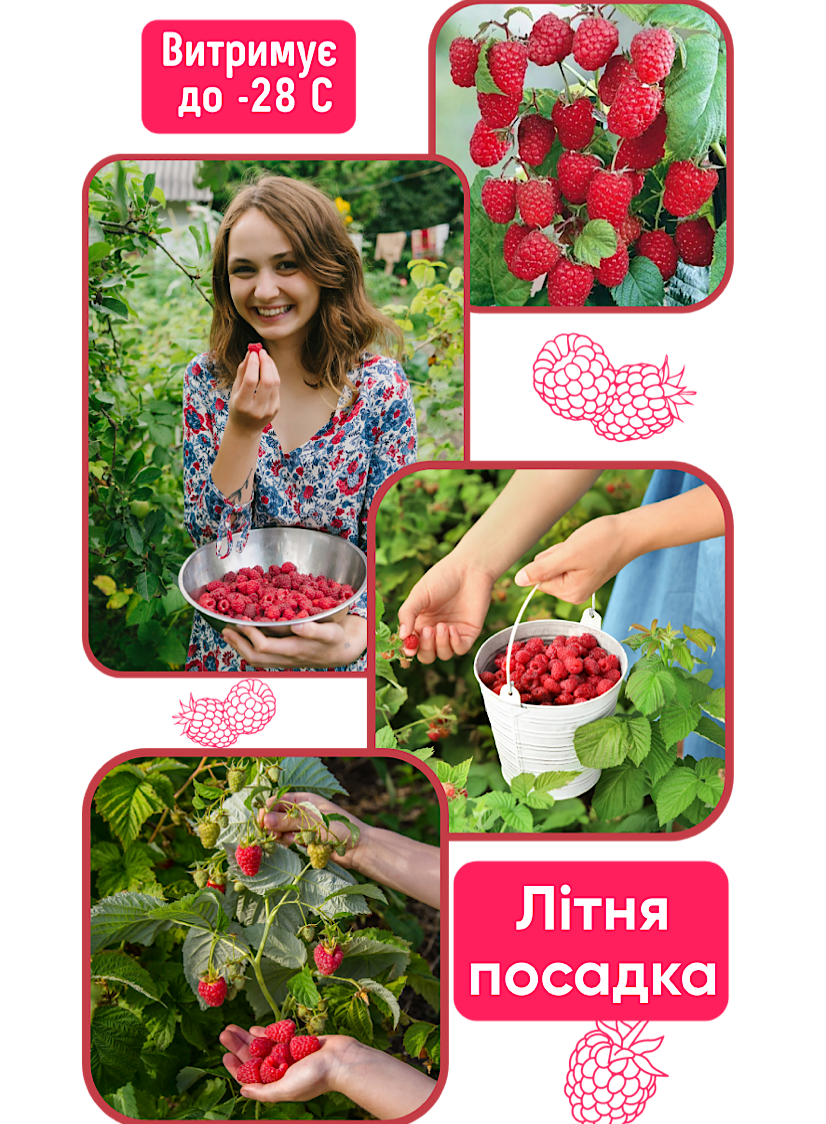 Заголовок
