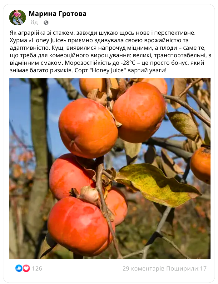 Заголовок