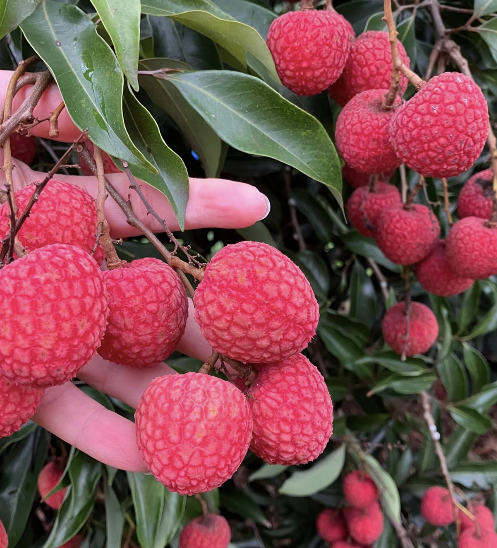 Изображение продукта или услуги